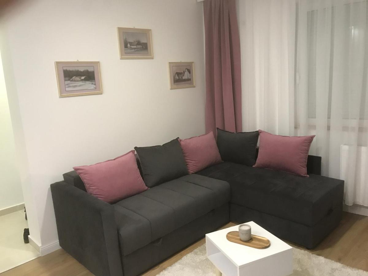 Apartman Kristina Free Parking 노비사드 외부 사진